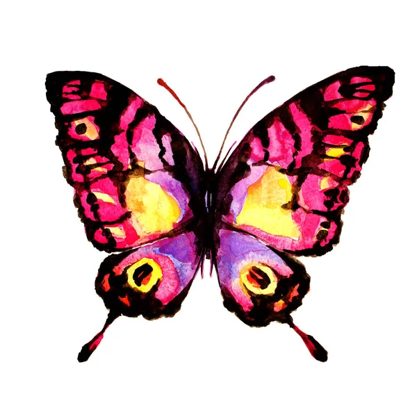 Schöner Schmetterling Aquarell Isoliert Auf Weißem Hintergrund — Stockfoto