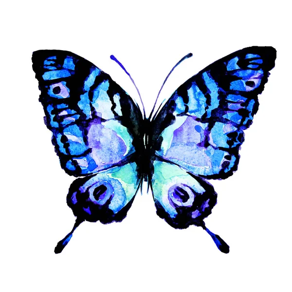 Gyönyörű Kék Pillangó Elszigetelt Fehér Akvarell — Stock Fotó