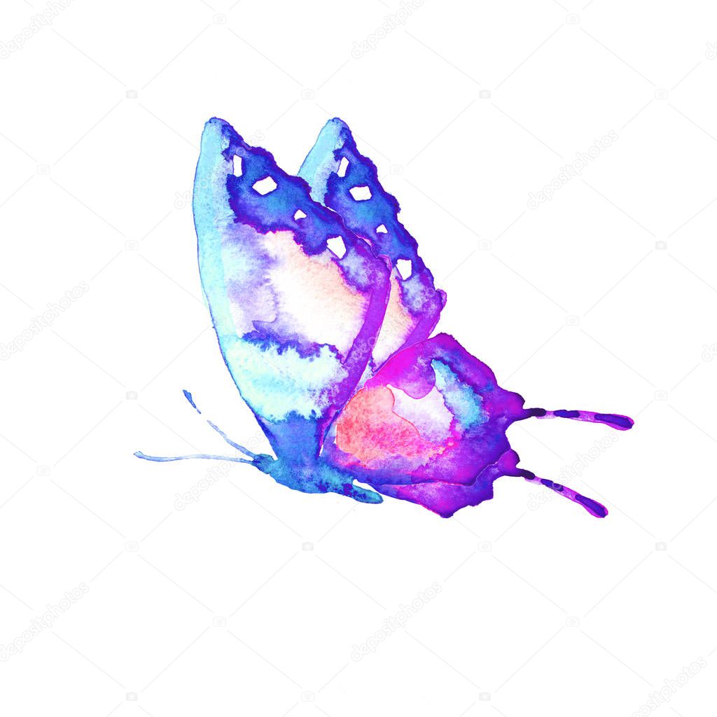 beautiful butterfly, watercolor, isolated on a white