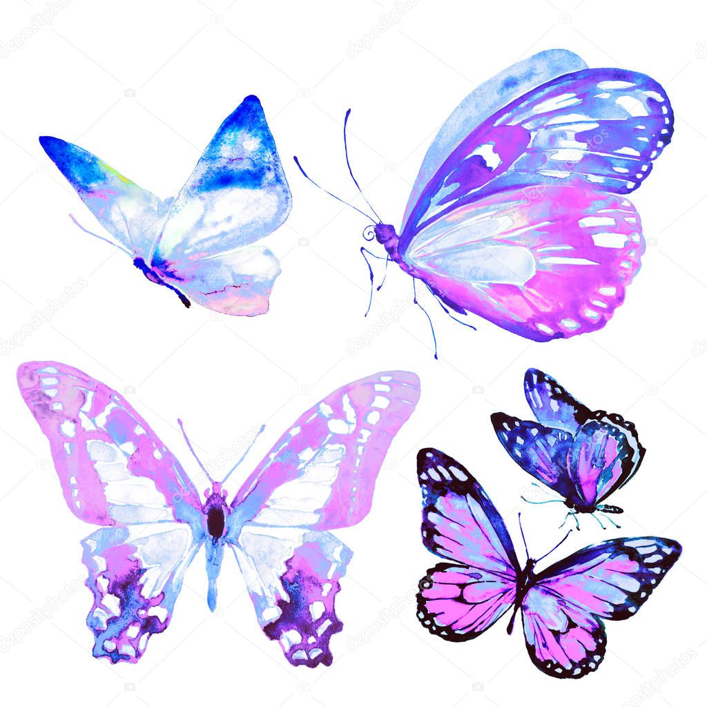 beautiful bright  butterflies, watercolor, isolated on a white