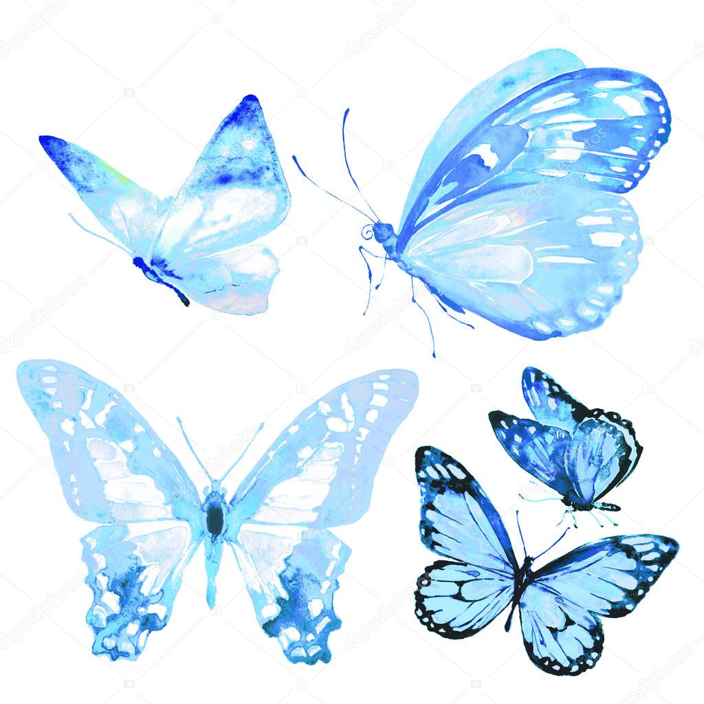 beautiful   butterflies, watercolor, isolated on a white
