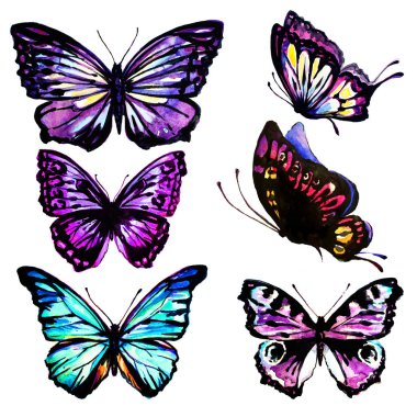 güzel parlak kelebekler, suluboya, izole bir beyaz