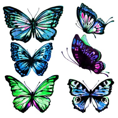 güzel kelebekler, suluboya, izole bir beyaz