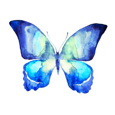 bir beyaz, suluboya izole güzel mavi kelebek 