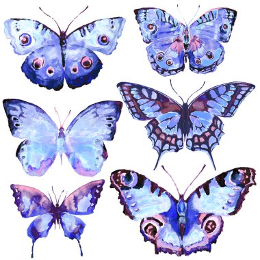 güzel kelebekler, suluboya, izole bir beyaz