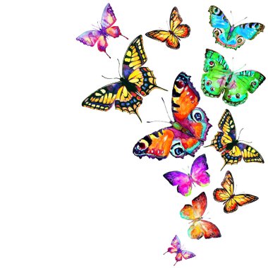 Beyaz arka plan üzerinde izole güzel kelebek