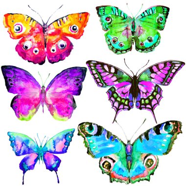 güzel parlak kelebekler, suluboya, izole bir beyaz