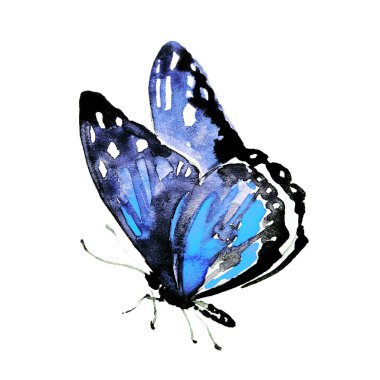 bir beyaz, suluboya izole güzel mavi kelebek 