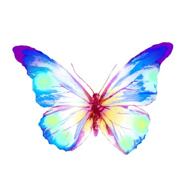 bir beyaz, suluboya izole güzel mavi kelebek 
