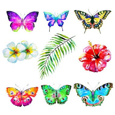 güzel kelebekler, suluboya, izole bir beyaz arka plan üzerinde 