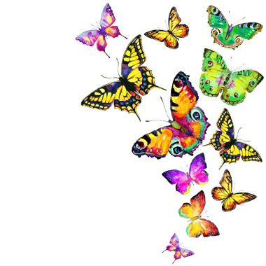 Beyaz arka plan üzerinde izole güzel kelebek