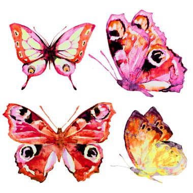 güzel parlak kelebekler, suluboya, izole bir beyaz