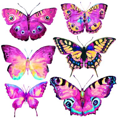 güzel kelebekler, ayarla, suluboya, beyaz izole