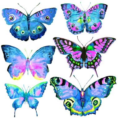 güzel kelebekler, ayarla, suluboya, beyaz izole