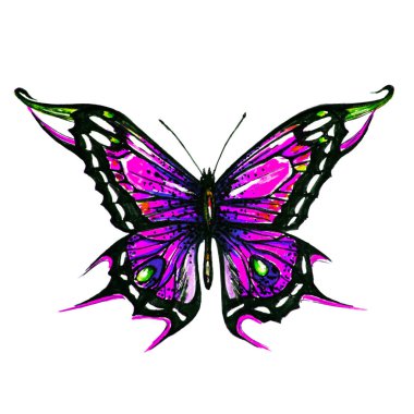 bir beyaz, suluboya izole güzel kelebek