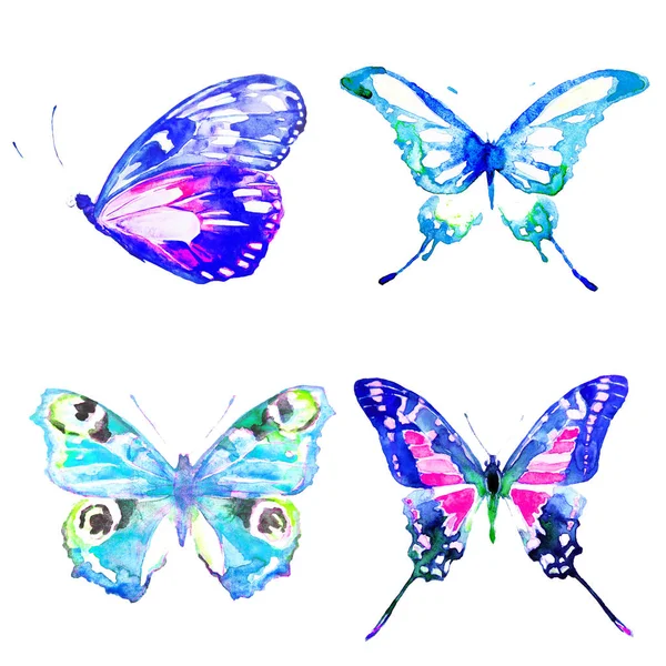 Beautiful Butterflies Watercolor Isolated White — Stock Photo, Image