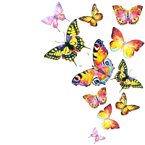 Schöne Leuchtende Schmetterlinge Aquarell Isoliert Auf Einem Weißen — Stockfoto