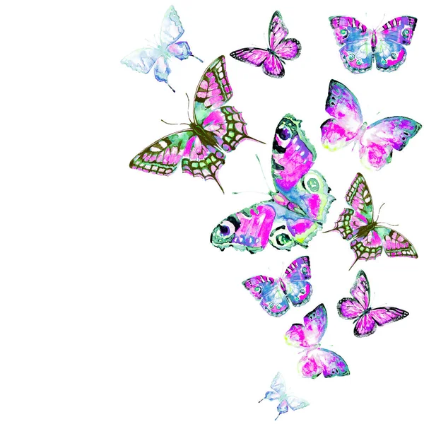 Бабочки Изолированы Белом Фоне Акварель — стоковое фото