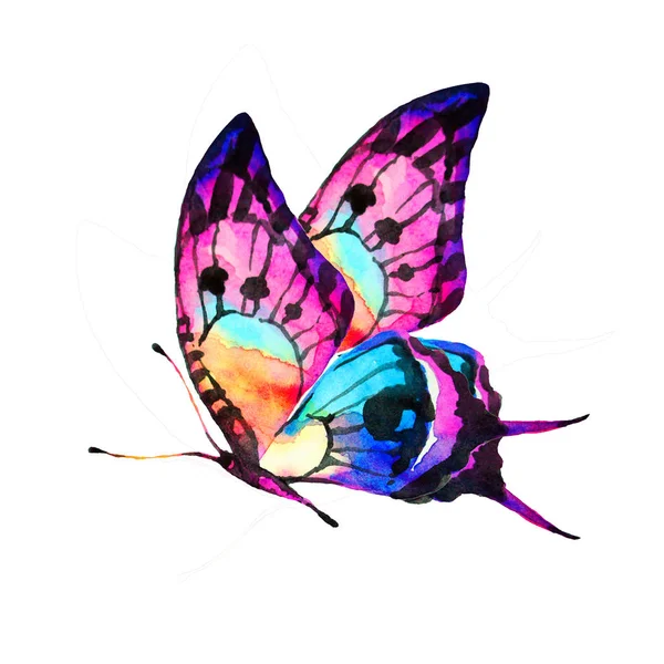 Красивий Яскравий Метелик Акварель Ізольований Білому — стокове фото