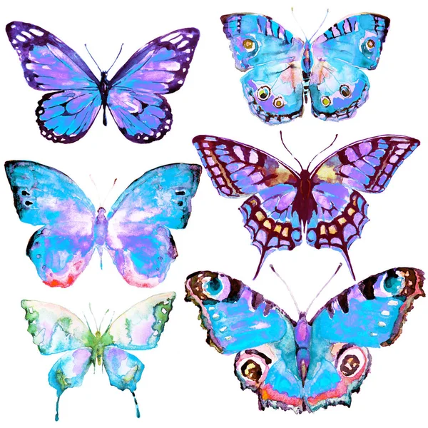 Krásné Motýly Akvarel Izolované Bílém — Stock fotografie