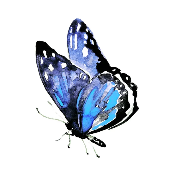 Schöner Blauer Schmetterling Isoliert Auf Einem Weißen Aquarell — Stockfoto