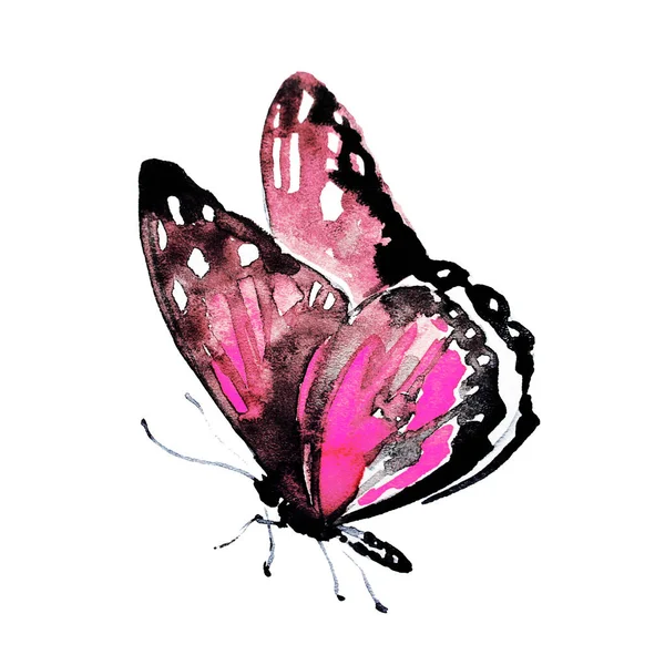 Vackra Ljusa Fjäril Akvarell Isolerad Vit — Stockfoto