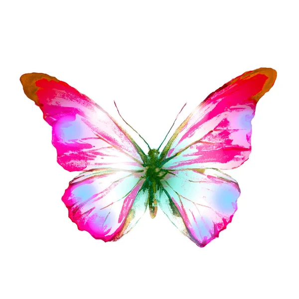 Schöner Rosa Schmetterling Aquarell Isoliert Auf Einem Weißen — Stockfoto