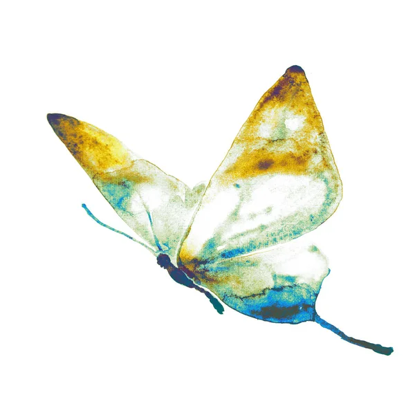 Schöner Schmetterling Aquarell Isoliert Auf Einem Weißen — Stockfoto