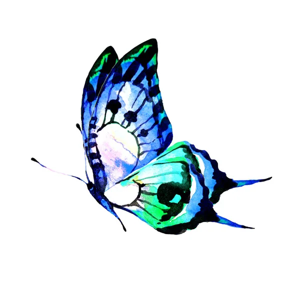 Hermosa Mariposa Azul Aislada Blanco Acuarela — Foto de Stock
