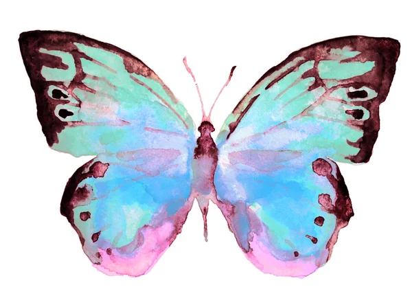 Schöner Blauer Schmetterling Isoliert Auf Einem Weißen Aquarell — Stockfoto