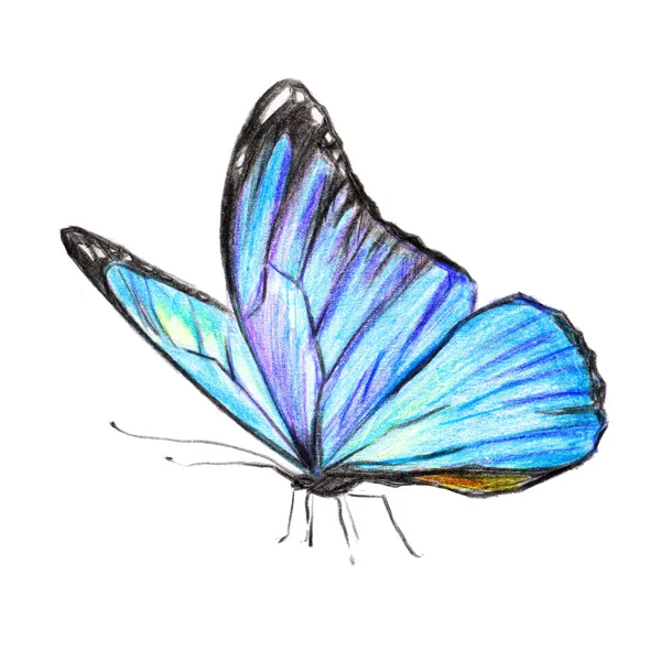 美しい蝶 水彩で隔離 — ストック写真