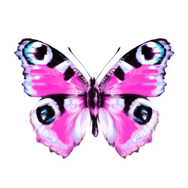 Όμορφη Πεταλούδα Απομονώνονται Ένα Λευκό Ακουαρέλα — Φωτογραφία Αρχείου