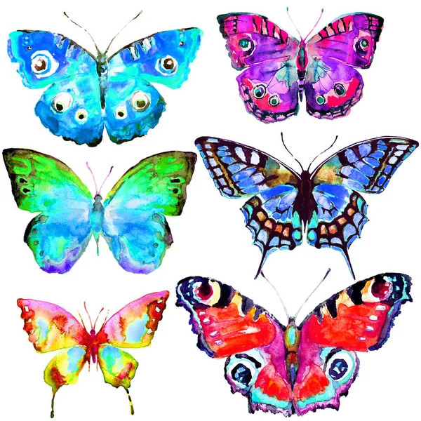 Krásné Světlé Motýlů Akvarel Izolované Bílém — Stock fotografie