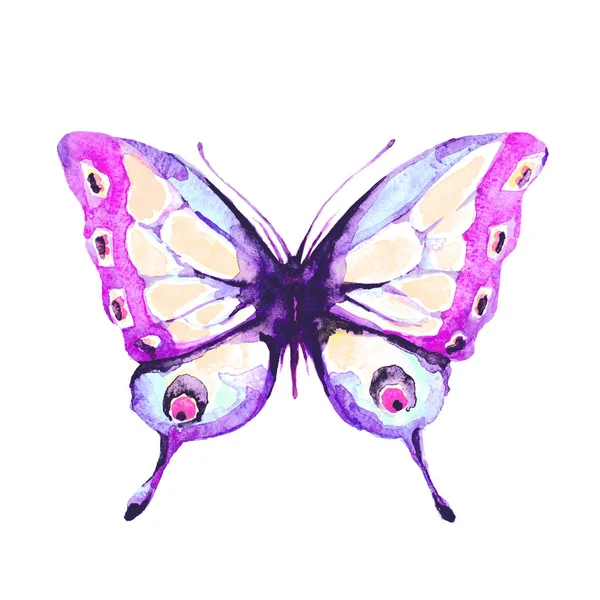 Beautiful Butterfly Isolated White Watercolor — Stock Photo, Image