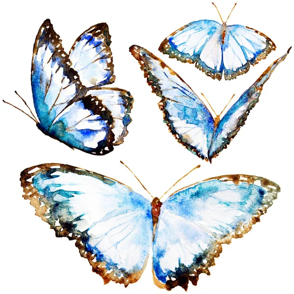 Красивые Яркие Бабочки Акварель Изолированные Белом — стоковое фото