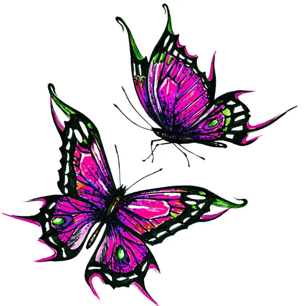 Mooie Vlinders Aquarel Geïsoleerd Een Witte — Stockfoto