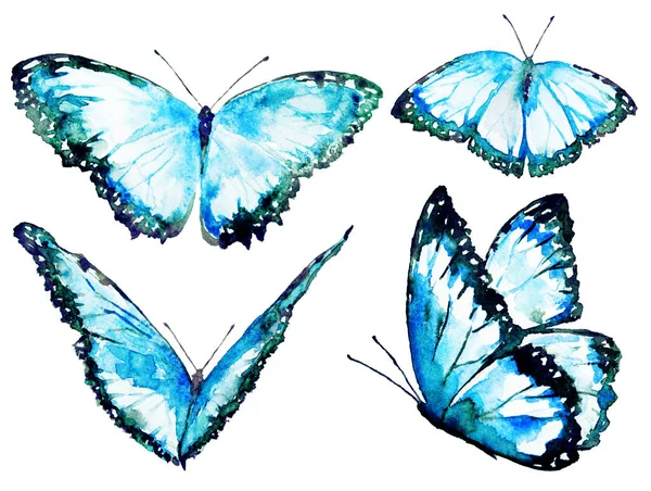 Beautiful Bright Butterflies Watercolor Isolated White — Stock Photo, Image