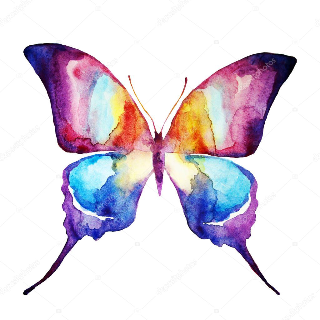 beautiful bright  butterfly, watercolor, isolated on a white