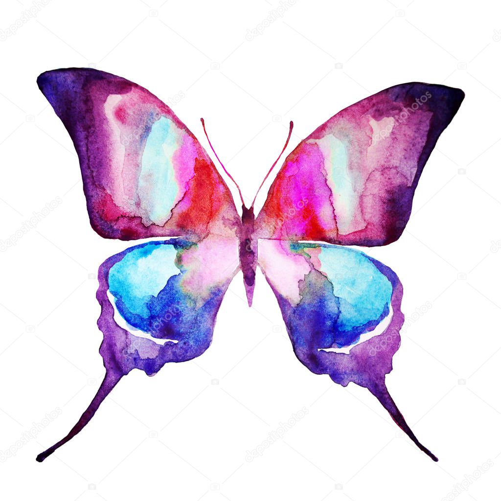 beautiful bright  butterfly, watercolor, isolated on a white