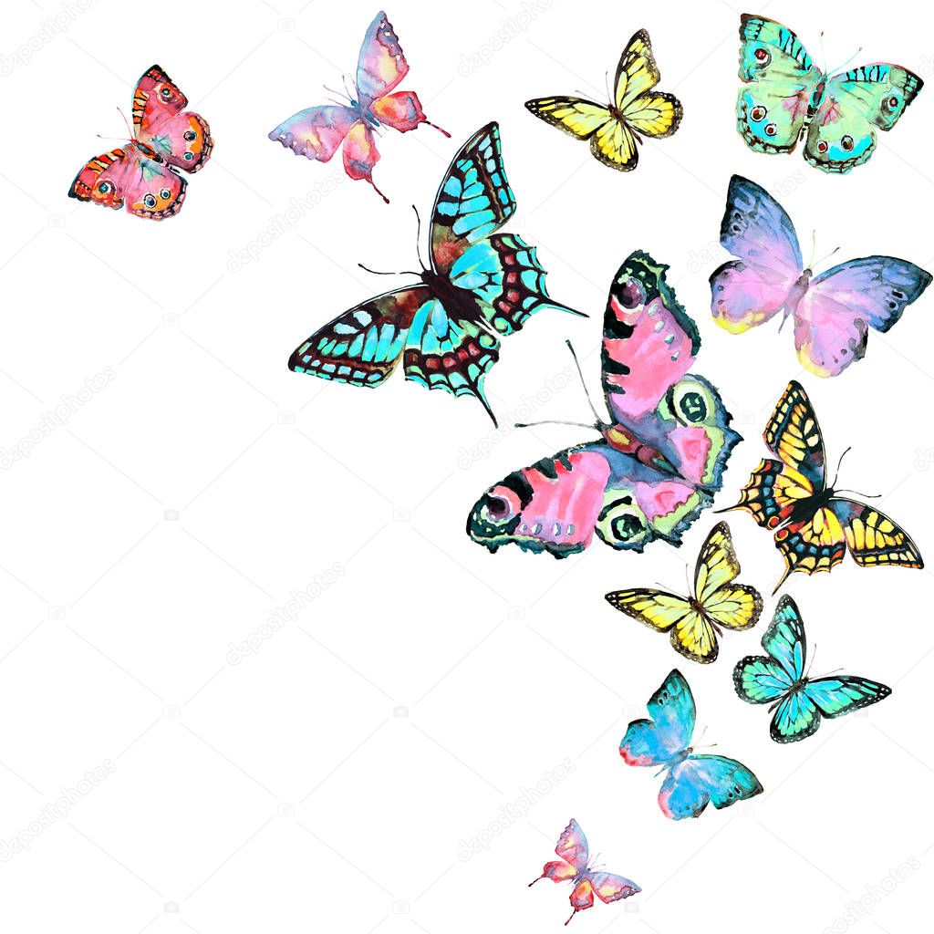 beautiful colorful butterflies, set, watercolor,  isolated  on a white