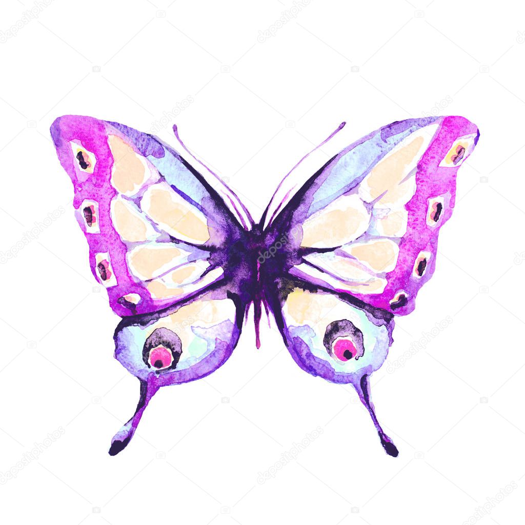 beautiful butterfly  isolated on a white, watercolor
