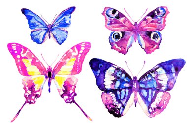 güzel kelebekler, suluboya, izole bir beyaz arka plan üzerinde 