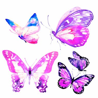 güzel kelebekler, ayarla, suluboya, beyaz izole
