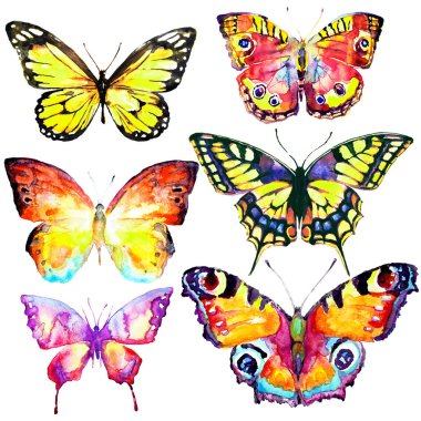 güzel kelebekler, suluboya, izole bir beyaz arka plan üzerinde 