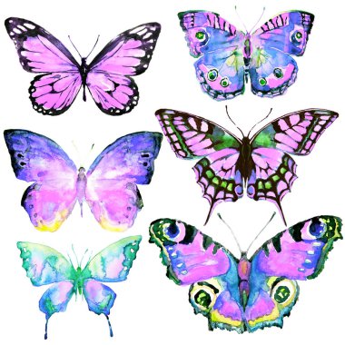 güzel kelebekler, suluboya, izole bir beyaz arka plan üzerinde 