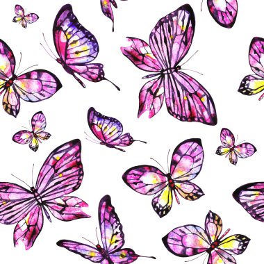 Kelebekler, beyaz bir arka plan üzerine suluboya