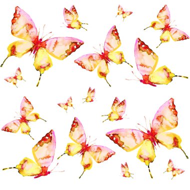 güzel kelebekler, suluboya, izole bir beyaz