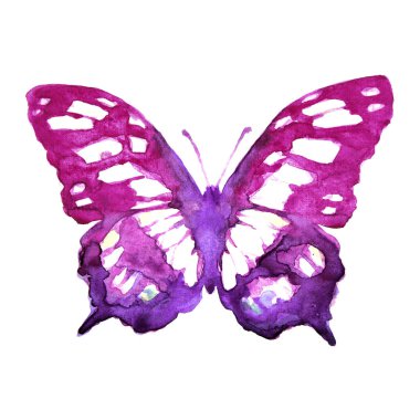 güzel parlak kelebek, suluboya, izole bir beyaz