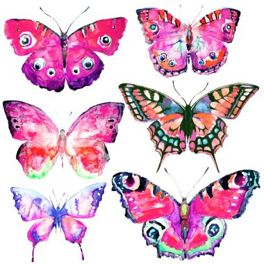 güzel kelebekler, ayarla, suluboya, beyaz izole