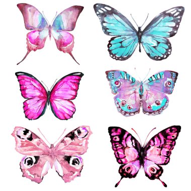 güzel kelebekler, suluboya, izole bir beyaz arka plan üzerinde 